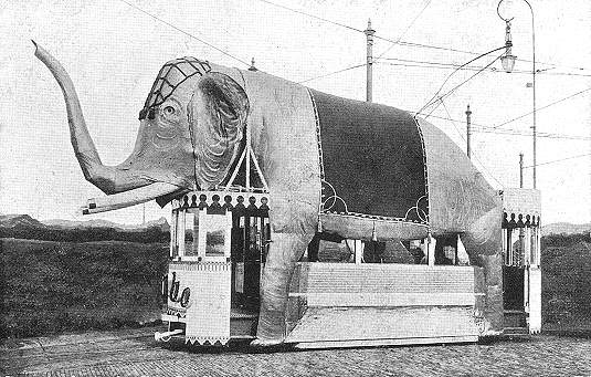 The Hague, Elephant